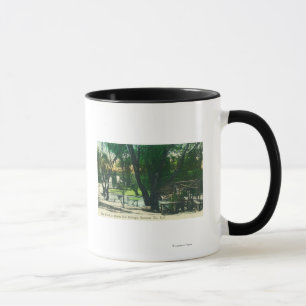 Ansicht des Quellen-Teichs Tasse