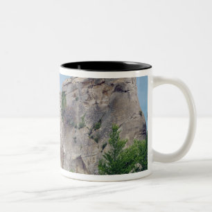 Ansicht des Schlosses Zweifarbige Tasse