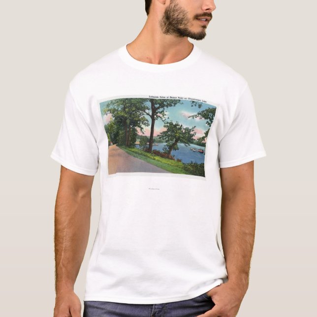 Ansicht des Seeufer-Antriebs entlang Chautauqua T-Shirt (Vorderseite)