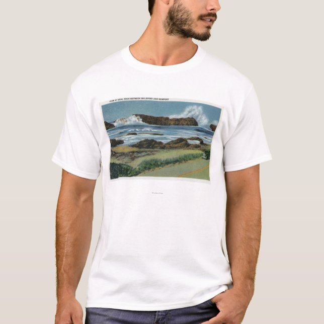 Ansicht des Siegel-Felsens durchschnittliches T-Shirt (Vorderseite)