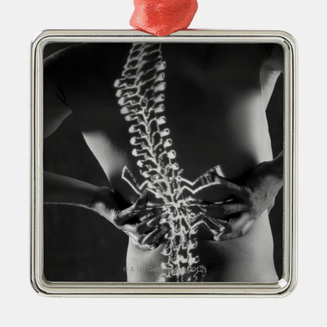 Ansicht des spinalen Akkords Silbernes Ornament (Vorne)