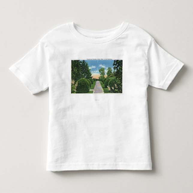 Ansicht des Tanglewood arbeitet # 2 im Garten Kleinkind T-shirt (Vorderseite)