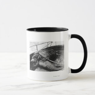 Ansicht einer riesigen Meeresschildkröte in der Tasse