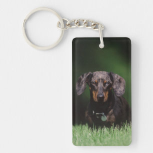 Ansicht eines Dapple-farbenen Dachshunds Schlüsselanhänger