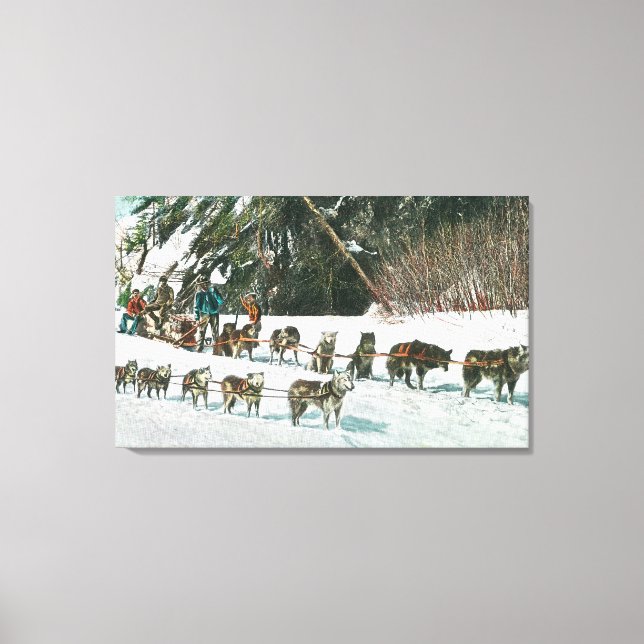 Ansicht eines Husky Dog-Sled Teams Leinwanddruck (Vorderseite)