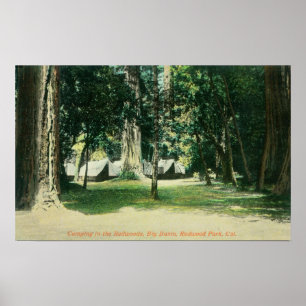 Ansicht eines Lagers im Redwood Poster