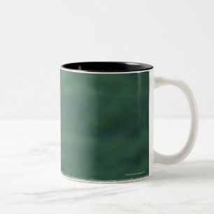 Ansicht eines Löwes (Panthera Löwe) legend auf Zweifarbige Tasse