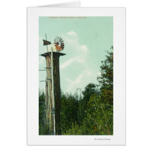 Ansicht eines Mammutbaum-Winds MillEureka, CA