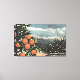 Ansicht eines orange Obstgartens mit Bergen Leinwanddruck