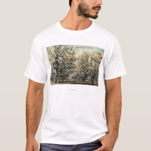 Ansicht eines Pflaumen-Obstgartens von 300.000 T-Shirt