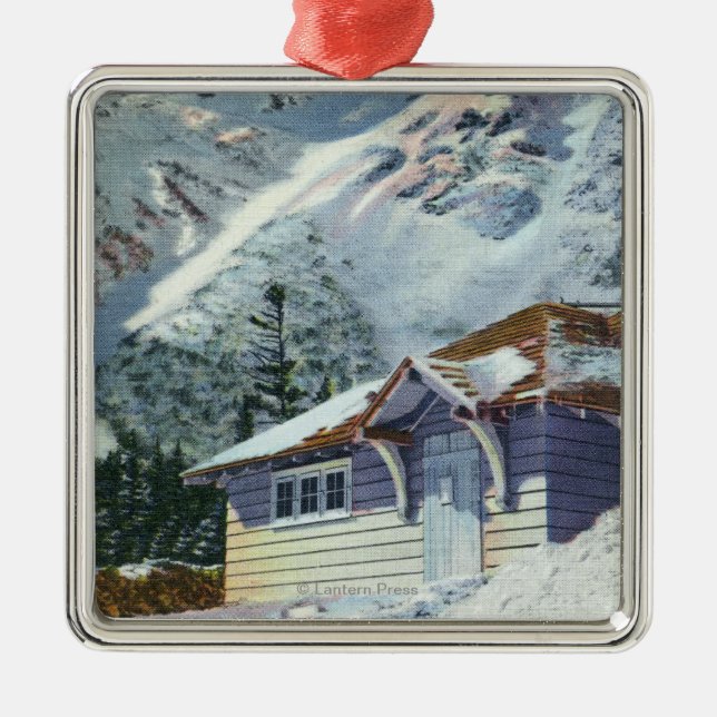 Ansicht eines US-Forstdienst-Ski-Schutz Ornament Aus Metall (Vorne)