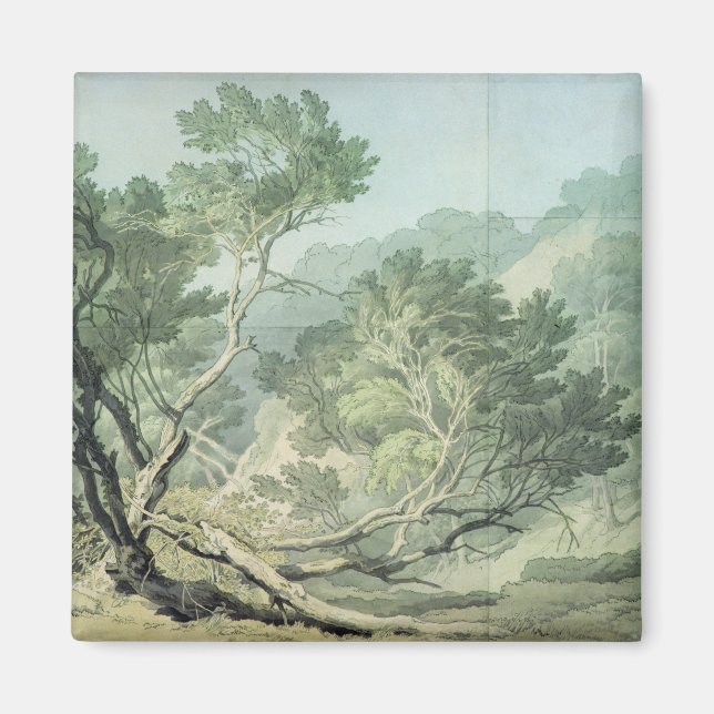 Ansicht in der Nähe von Fordlands, Exeter Magnet (Vorne)