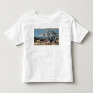 Ansicht Mt. San Gorgonio, Rauch-Bäume Kleinkind T-shirt