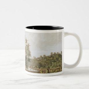 Ansicht nahe Punkt DU Galle, Ceylon Zweifarbige Tasse