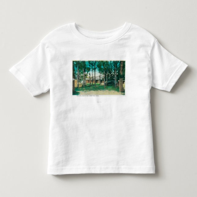 Ansicht städtischer touristischer kleinkind t-shirt (Vorderseite)