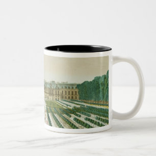 Ansicht und Perspektive des Palais Royal von Zweifarbige Tasse