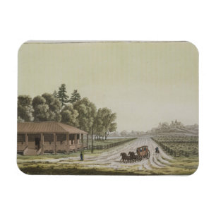 Ansicht vom Capitol Hill, Washington (Farbstich Magnet