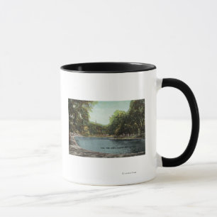 Ansicht von allgemeinem Frosch-Teich Bostons # 2 Tasse