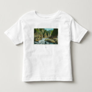 Ansicht von Ausable Abgrund nahe dem Kopf des Kleinkind T-shirt