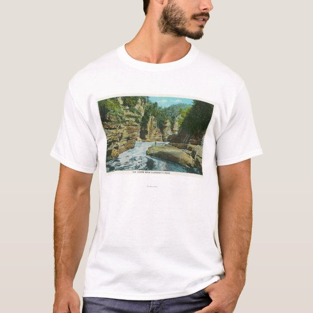 Ansicht von Ausable Abgrund nahe dem Kopf des T-Shirt (Vorderseite)