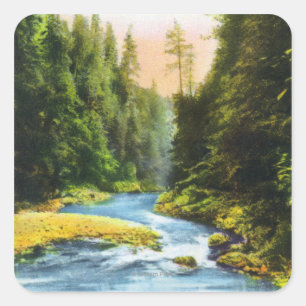 Ansicht von Capilano Hängebrücke # 2 Quadratischer Aufkleber
