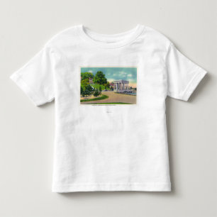 Ansicht von Coles-Hügel und von Plymouth Kleinkind T-shirt