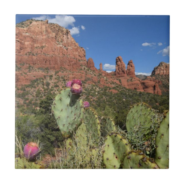 Ansicht von DoppelButtes | Sedona, Arizona Fliese (Vorderseite)