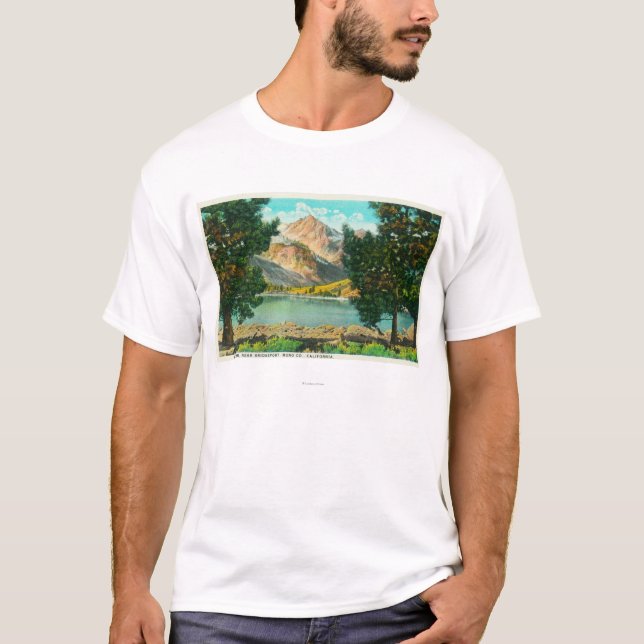 Ansicht von Doppelseen nähern sich Bridgeport T-Shirt (Vorderseite)