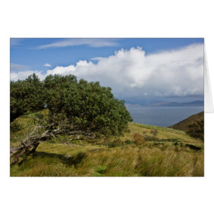 Ansicht von Drung Hügel