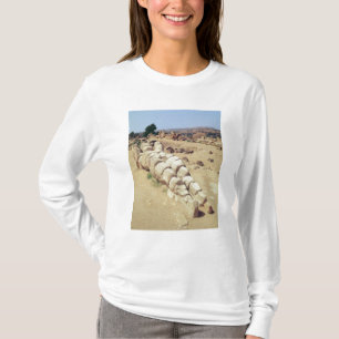Ansicht von einer der riesigen Telemon Statuen T-Shirt