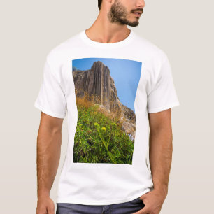 Ansicht von Hierve ELAgua, Oaxaca, Mexiko T-Shirt