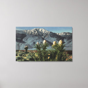 Ansicht von Mt. San Jacinto, Yucca Mohavensis Leinwanddruck