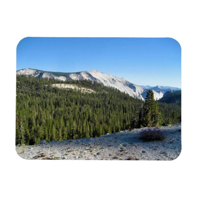 Ansicht von Olmstead Point, Yosemite, CA Magnet (Horizontal)
