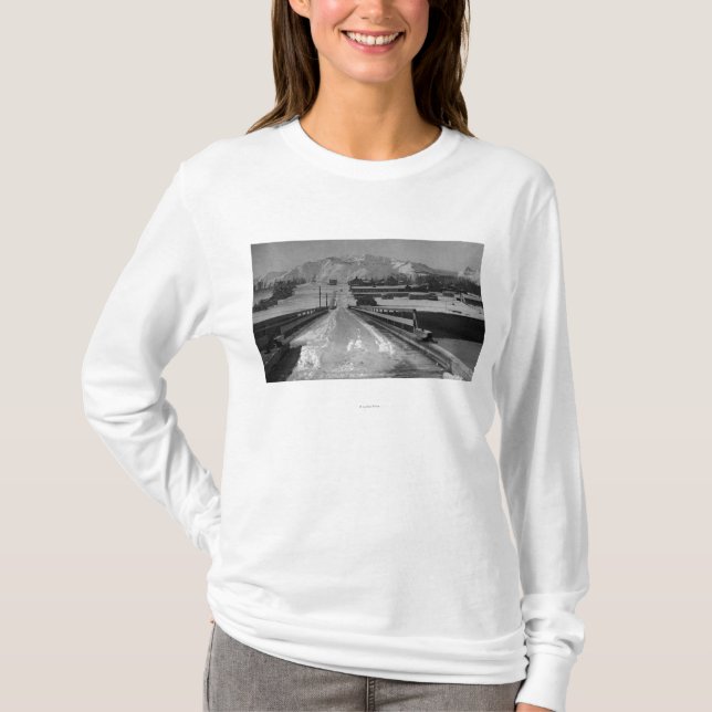 Ansicht von Seward, Alaska von der Brücke T-Shirt (Vorderseite)