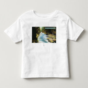 Ansicht von Seymour Schlucht Kleinkind T-shirt