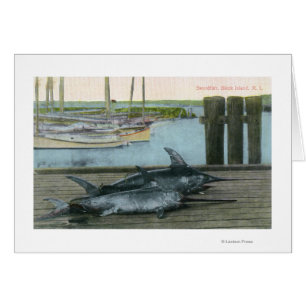 Ansicht von zwei Schwertfischen