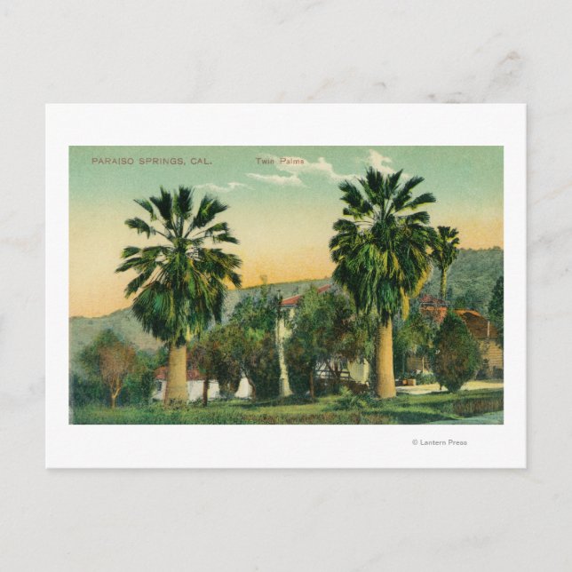 Ansicht von ZwillingspalmenParaiso Springs, CA Postkarte (Vorderseite)