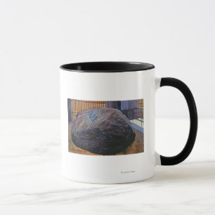 Ansicht wirklichen Plymouth Rocks Tasse
