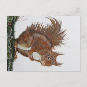 Ansichtkaart Eekhoorn. Postkarte