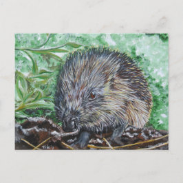 Ansichtkaart Egel. Postkarte