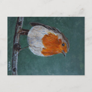 Ansichtkaart Roodborst. Briefkaart Postkarte