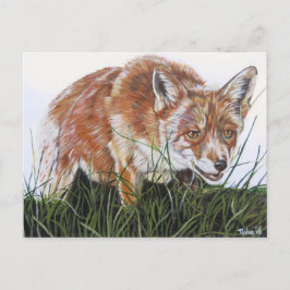 Ansichtkaart Vos Postkarte