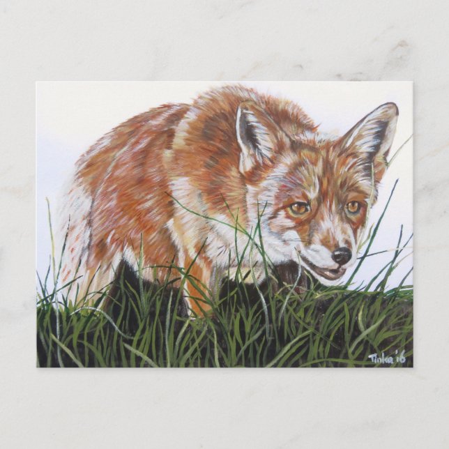 Ansichtkaart Vos Postkarte (Vorderseite)