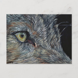 Ansichtkaart Wolf Postkarte