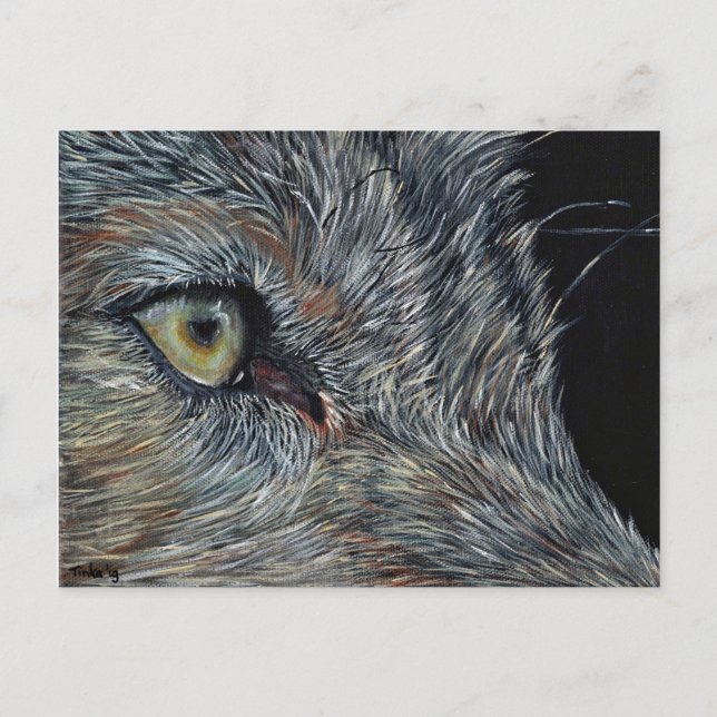 Ansichtkaart Wolf Postkarte (Vorderseite)