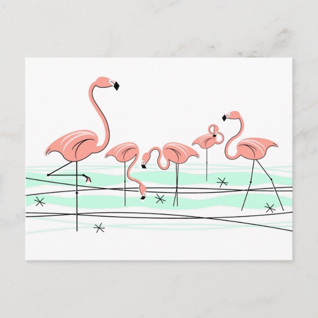 Ansichtskarte der Flamingo Ocean Group Postkarte (Vorderseite)