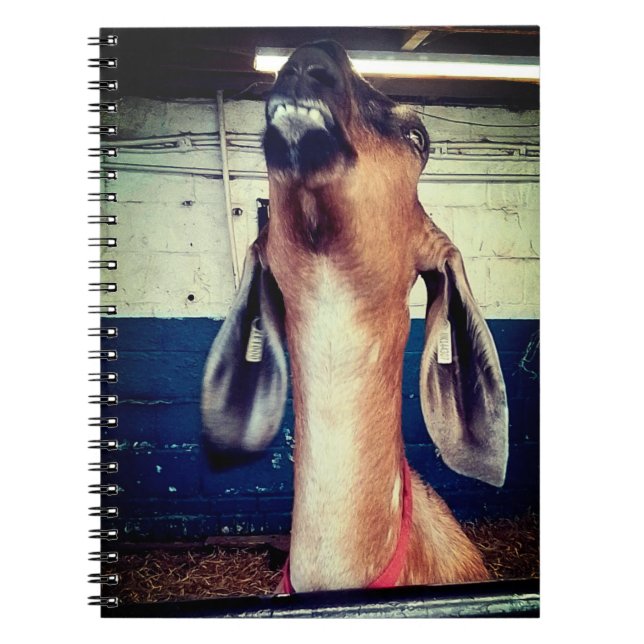 ansprechend notizblock (Vorderseite)