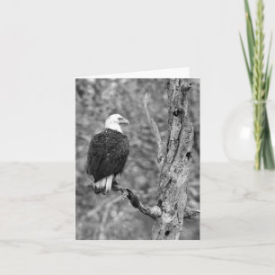 Anstarren der Anmerkungs-Karte Eagles B&W Karte