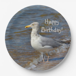 Anstarren der Seemöwe Pappteller