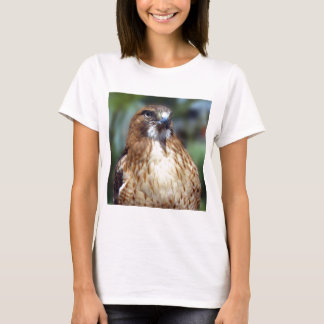 Anstarren des Falcom T-Shirt